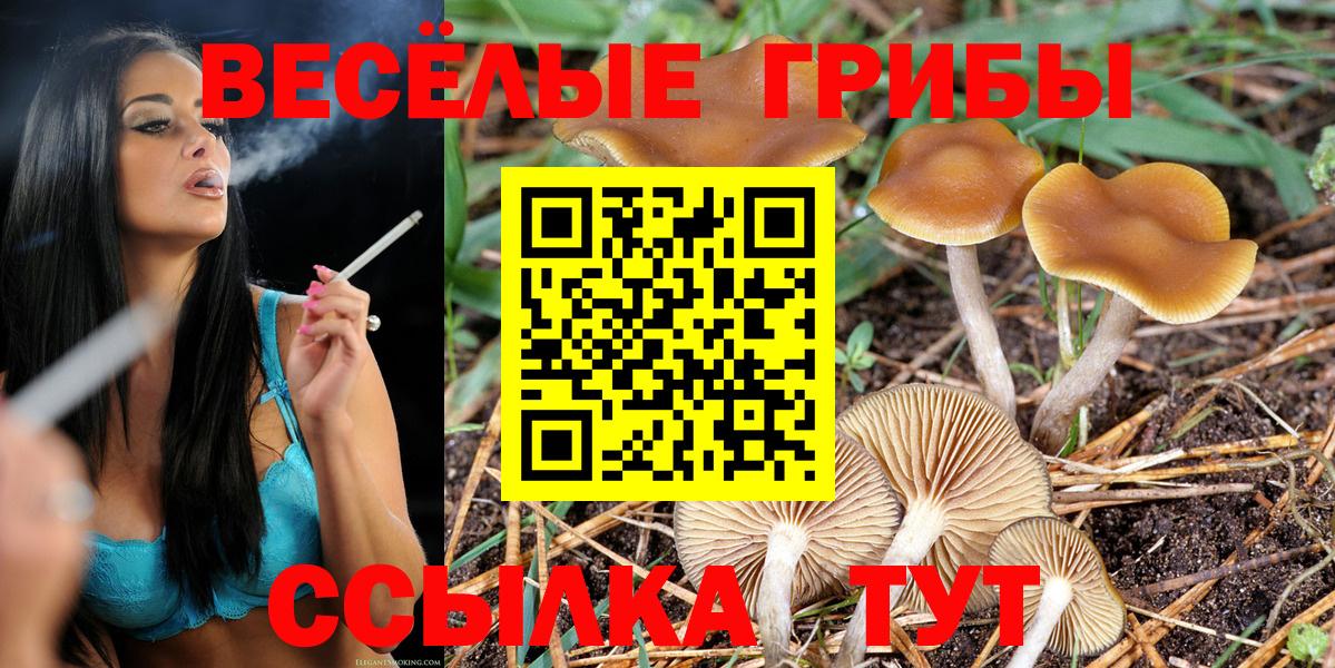 Псилоцибиновые грибы прущие грибы Темрюк