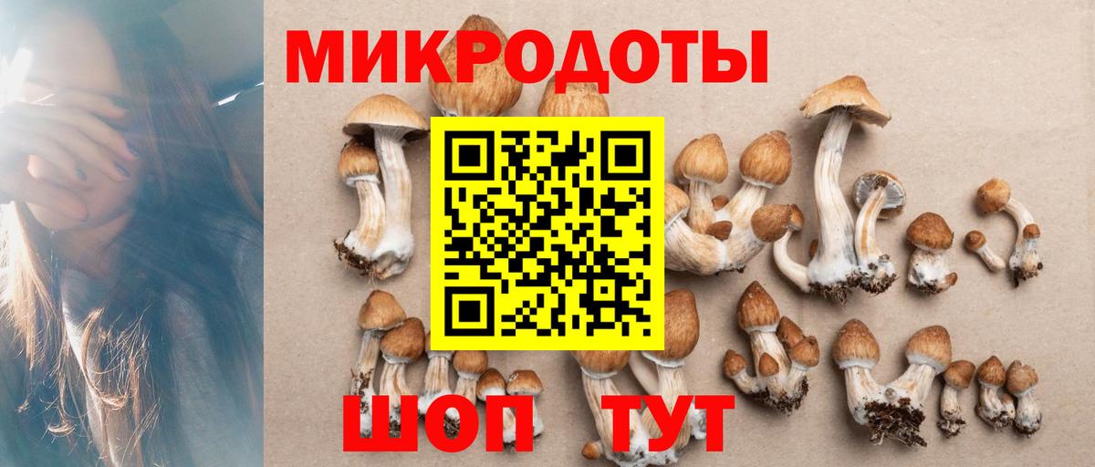 Галлюциногенные грибы MAGIC MUSHROOMS  Вход с VPN  Темрюк  Галлюциногенные грибы ЛСД 